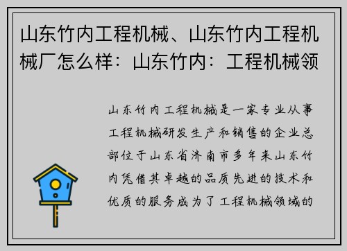 山东竹内工程机械、山东竹内工程机械厂怎么样：山东竹内：工程机械领域的领跑者